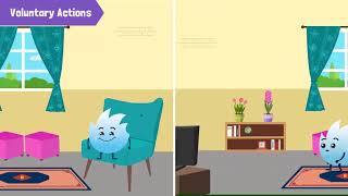 The Difference Between Voluntary, Involuntary and Reflex Actions