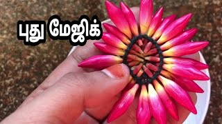 புது மேஜிக்|இந்த பூவில் அப்படி ஒரு அழகு|இனிமேல் இப்படி அசத்துங்க|