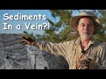 Vein Sediments