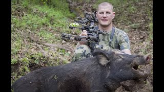 The Hunt: Brendan Burns' First Wild Boar