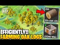 HOW TO FARM OAK LOGS FOR BEGINNERS! - Last Day on Earth: Survival