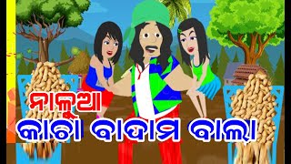 Nalua Kacha Badam Bala | କାଚା ବାଦାମ | Hasa Godam | Kahila Kacha Badam | Viral Comedy | Nalua Diara