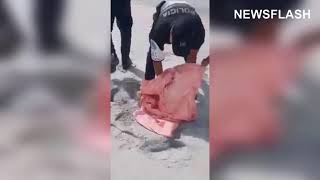 Injured Pelican Rescued In Panama