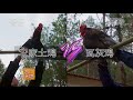 【all about farming】20171228 cctv agriculture