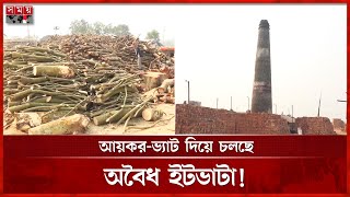 খরচ কমাতে ইটভাটা গিলে খাচ্ছে বনায়ন | Brick kiln | Deforestation | Somoy National