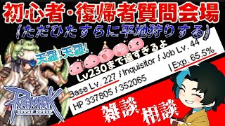 初心者復帰者質問会場という名の平地レベリングを無心でする配信　L鯖【RO/ラグナロクオンライン】るじくに自由に実況配信