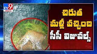 Hyderabad : చిరుత మళ్లీ తిరుగుతోంది - TV9