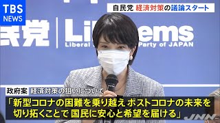 「国民に安心と希望を届ける」経済対策案 自民党で議論始まる