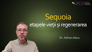 Sequoia, etapele vieții și regenerarea - Dr. Adrian Alecu