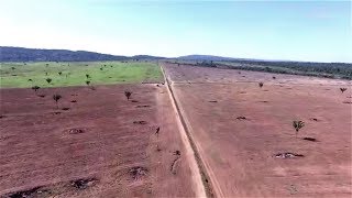 Vídeo mostra desmatamento em fazenda ligada a Eliseu Padilha