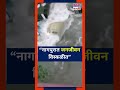 nagpur heavy rain पावसामुळे नागपुरात अक्षरशः हाहाकार अवघ्या 4 तासांत 106 मिमी पावसाची नोंद