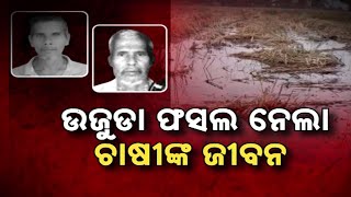 Two Farmers Die After Crop Loss In Nayagarh; Opposition Demands Compensation