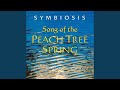 Broken Willow (feat. John Hackett)