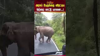 அரசுப் பேருந்தை விரட்டிய ஒற்றை காட்டு யானை...! #kerala #elephant #bus #shorts #newstamil24x7