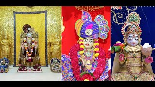 छ धामना आजना शणगार दर्शन ता.14-03-2024 ||Swaminarayan Temple Daily Darshan ||હરી મીલે બોરસલી કી છૈયા