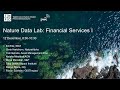 Nature Data Lab: Financial Services I