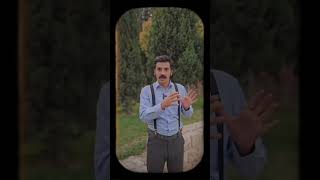 رستوران تاچارای شیراز: پاتوق رقص جوونای زمان شاه!