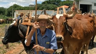 A TRADIÇÃO DOS CARREIROS DE CAMPANHA MG