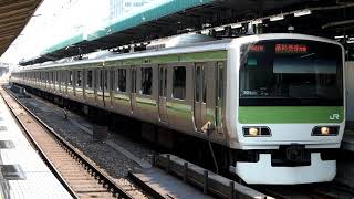 2019/11/01 【トップ編成】 山手線 E231系 トウ501編成 東京駅 | JR East Yamanote Line: E231 Series ToU 501 Set at Tokyo