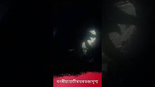 বনৰীয়া হাতীয়ে ঘৰ ভঙা দৃশ্য