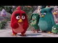 the angry birds movie