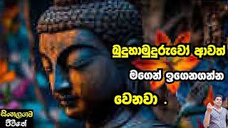 Youtube හි ප්‍රසිද්ධ චනුක්ස් බ්‍රෝ(Chanux bro)මට නම් පොරක් නෙවෙයි.|SINHALAGAMA JEEVITHe