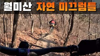 [MTB RIDER RAY] 월미산 초대형 자연 미끄럼틀 | 탐험가의 동네 다운힐라이딩 #mtbriding