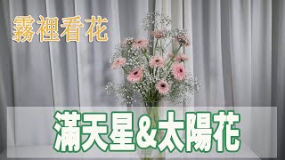 瓶插花：滿天星\u0026太陽花【大叔說花】