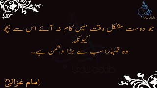 Imam Ghazali Quotes in Urdu | Wise Quotes | Rohaniyat-e-Ghazali