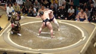 Nishikigi (1-0) - Seiro (0-1) , Sumo : Natsubasho '16