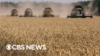 Russia's invasion of Ukraine could cause U.S. food prices to increase