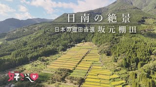 【日南の絶景③】坂元棚田が好きぃ～♡2024