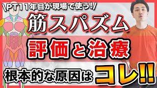 【筋スパズム】日々の臨床で、本当に評価できていますか？(理学療法士/治療)