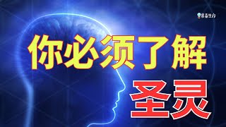 生命智慧 【你必须了解的圣灵】 这是基督徒最基本的 l 装备生命