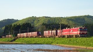 EH800　蟹田駅～中小国駅間にて (2016/05/15)