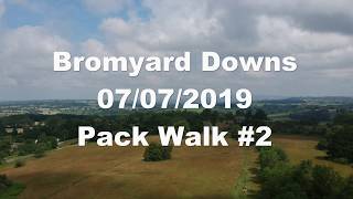 Bromyard Downs - Pack Walk #2 07/07/2019