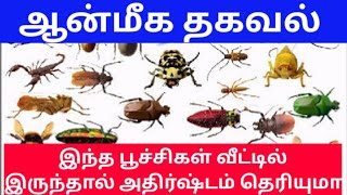 இந்த பூச்சிகள் வீட்டில் இருந்தால் அதிர்ஷ்டம் தெரியுமா Do you know if these insects are lucky at home