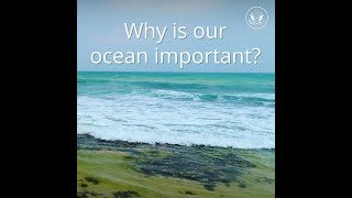 World Ocean Day
