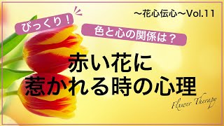 花心伝心Vol .11　赤い花に惹かれる時の心理