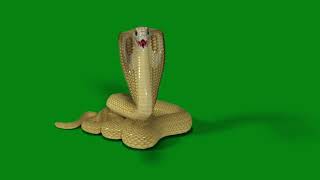 Nagin snake green screen download karne ke liye description me jaye नागिन
