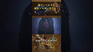 新モンスターの見た目がヤバい【モンスターハンターワイルズ】