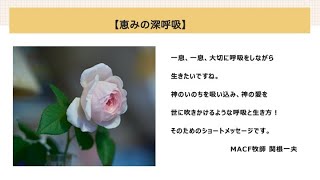 「恵みの深呼吸」2020年8月13日