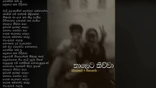 Thaleta Kiwwa | තාලෙට කිව්වා | Slowed + Reverb #song