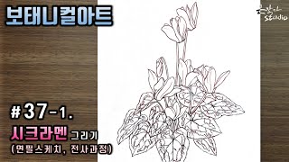Flower Drawing Cyclamen | 시클라멘 연필 스케치 | 꽃그림 배우기 37-1