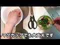 【料理動画】作り置き 葉生姜 おつまみ 主婦料理