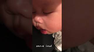 【Oliver’s 成長日記】Fell asleep on Mommy 💤 呼嚕呼嚕做美夢中