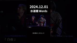 2024年最後のライブ🐑⚡️ #ひつじビーム #ライブ #バンド #水道橋 #水道橋words #白夜