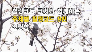 주제별 힐링코드 9편, 선량함, 대한민국 최초 유일한 힐링코드 코치와 함께하는 주제별 힐링코드, 힐링사진, 힐링음악