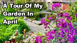 My Wildlife Front Garden Tour - April