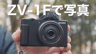 ZV-1F 20mmで撮る写真 // JPEG クリエティブルックでいい感じだけど・・RAWで記録したい